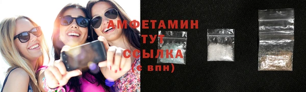 индика Гусиноозёрск