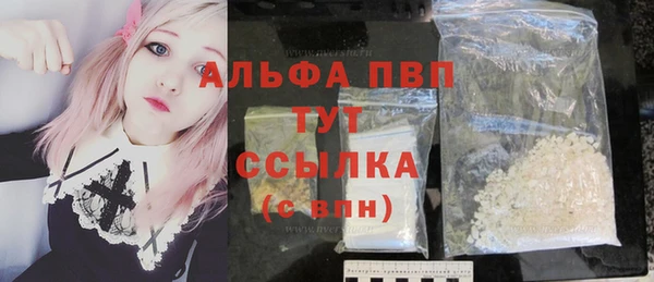 индика Гусиноозёрск