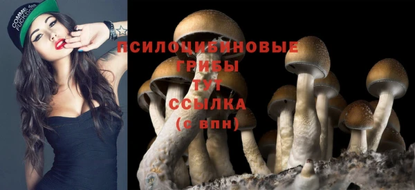 гашиш Гусев