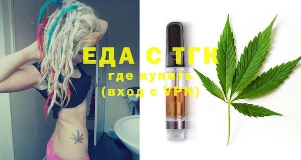 индика Гусиноозёрск