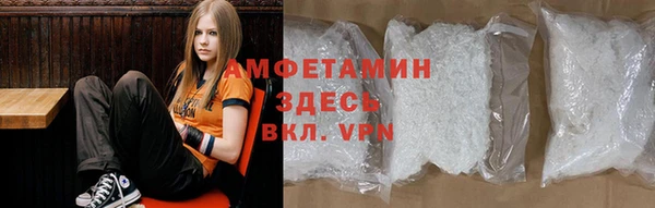 индика Гусиноозёрск
