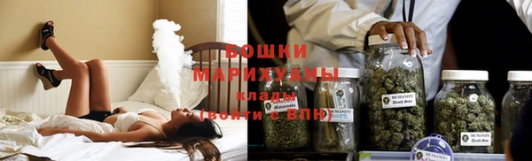 индика Гусиноозёрск