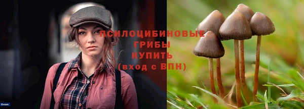 индика Гусиноозёрск