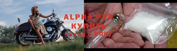индика Гусиноозёрск