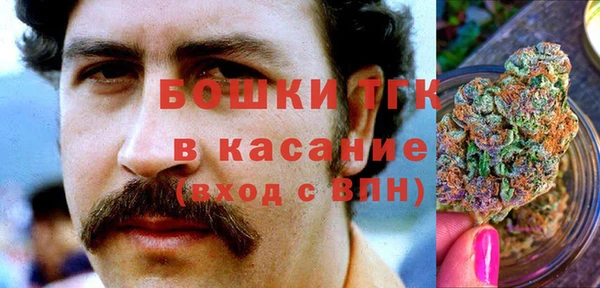 индика Гусиноозёрск