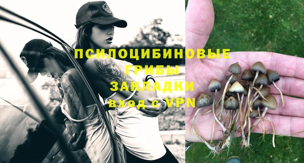 индика Гусиноозёрск