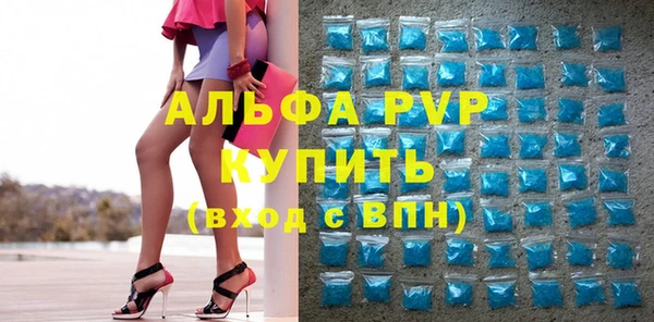 индика Гусиноозёрск