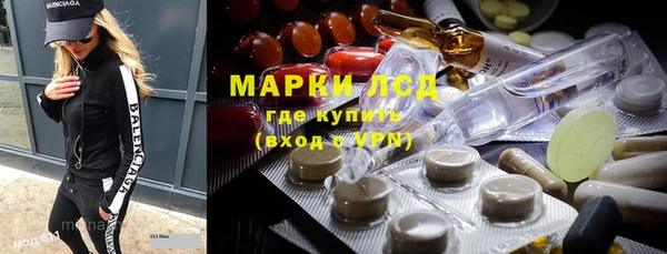 индика Гусиноозёрск