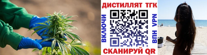 Купить где  Пласт  Дистиллят ТГК гашишное масло 